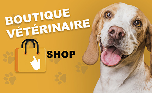 La boutique vétérinaire Monaco