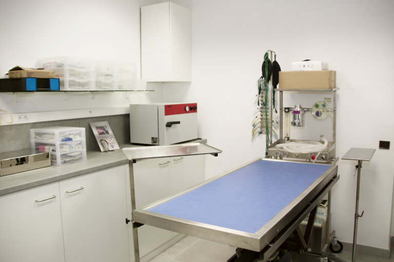 Vétérinaire 06