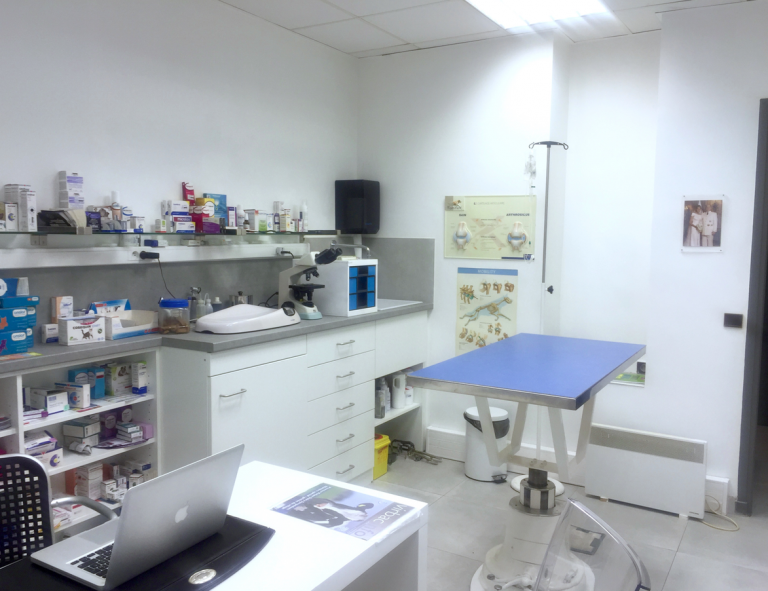 Consultation-vétérinaire Monaco Beausolail